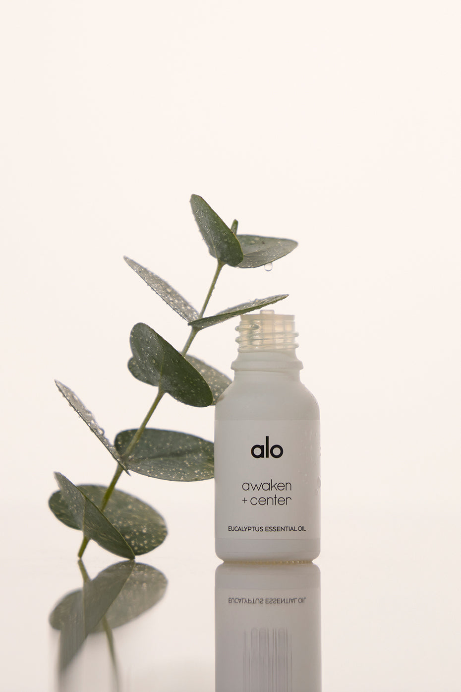 Huile essentielle Awaken & Center (eucalyptus)